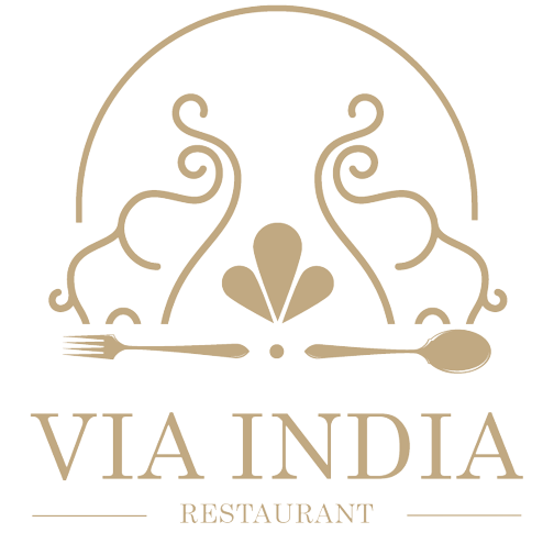 via india logo